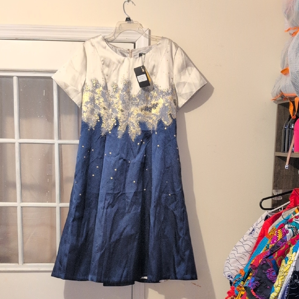 Daneli Navy Blue And Gold Pleated Dress